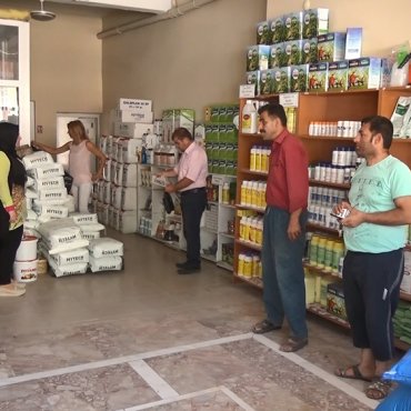 GÜLŞEHİR